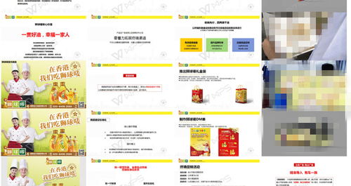 獅球嘜品牌策劃公司整合營(yíng)銷推廣方案