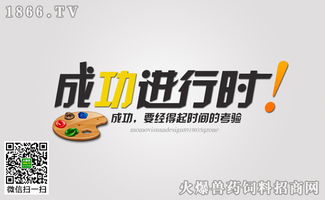 經(jīng)銷商成功營銷的三個標準與落地實踐