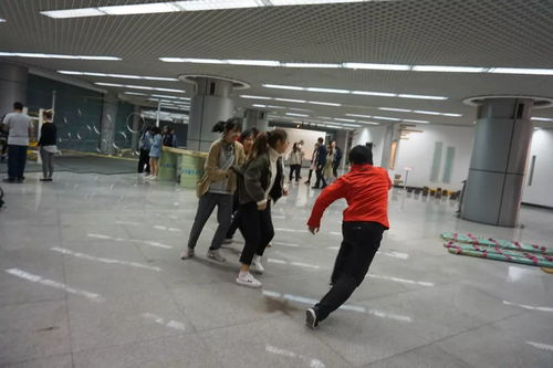 新西蘭風情文化集市 跨越山海，邀您共赴一場藝術盛宴